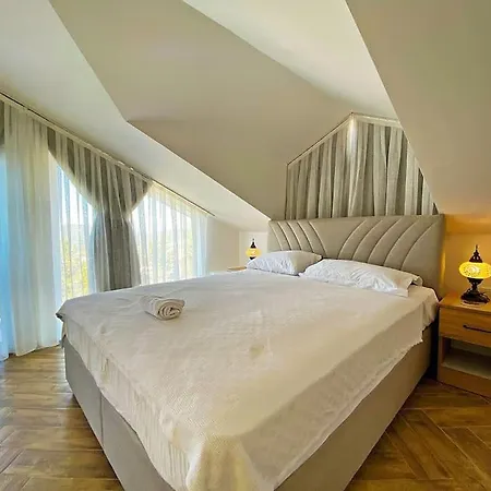 Paris A Villa, Oezel Havuzlu, 别墅 *