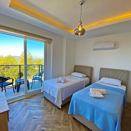 别墅 Paris A Villa, Oezel Havuzlu, *